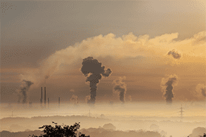 “En busca de CarboLand”: el ciclo del carbono en el ecosistema